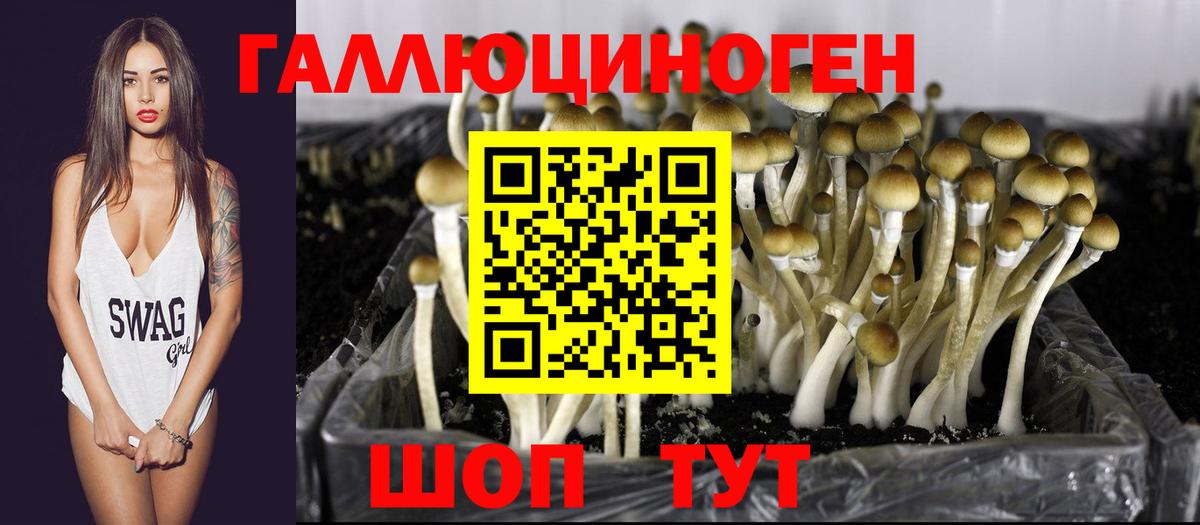 Псилоцибиновые грибы мухоморы Кашира