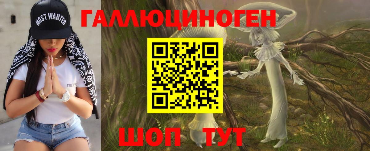 купить наркотики сайты  Псилоцибиновые грибы Magic Shrooms  Вход с VPN  Кашира 